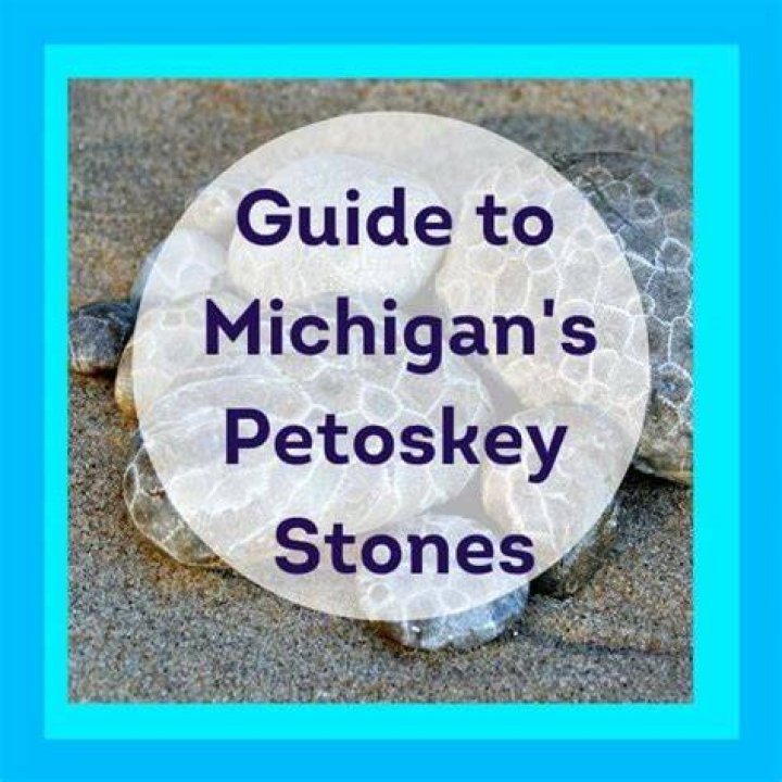 15 Places to Find Petoskey Stones in Michigan RockHunting Guide (2023)