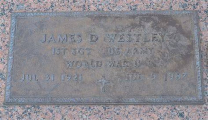 4 Facts About James Westley Welch, Raquel Welch's ExHusband
