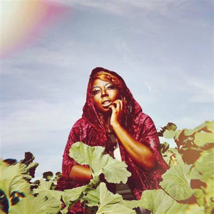A Journey Into Her Multifaceted Brilliance