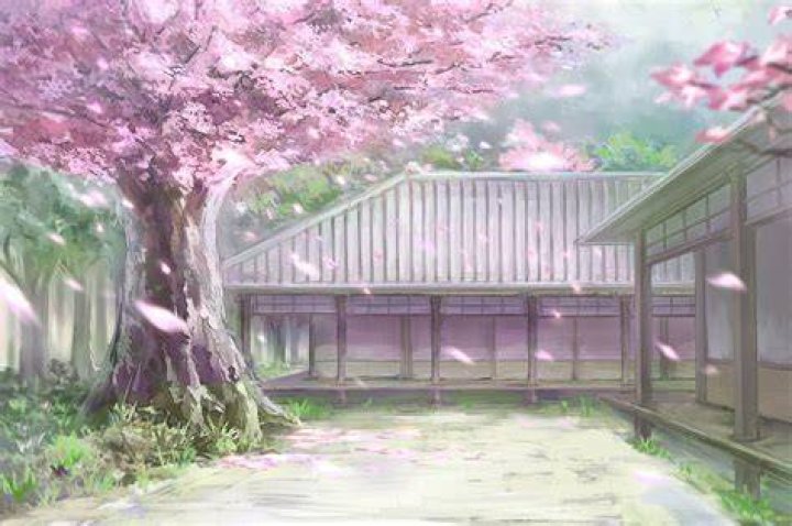 Anime Cherry Blossom, Cherry Blossoms, Manga Love, Anime Love, Bl