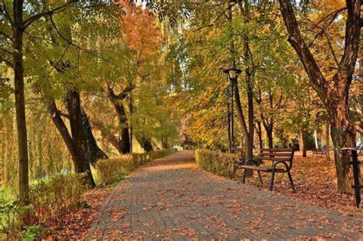 Autumn In Park Free Stock Photo Public Domain Pictures