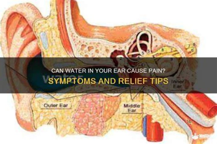 Can Well Water Cause Ear Infections