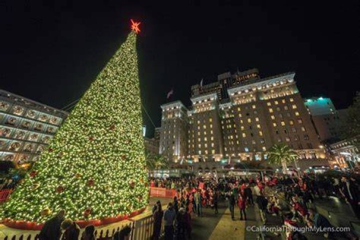 Christmas in San Francisco 15 Things to Do for the Holidays