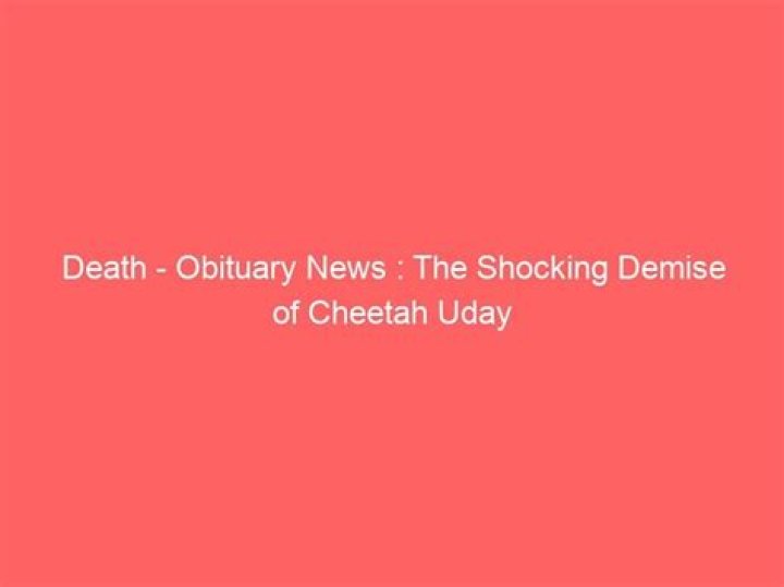 Cindy Death Obituary News Shocking Who is Cindy What