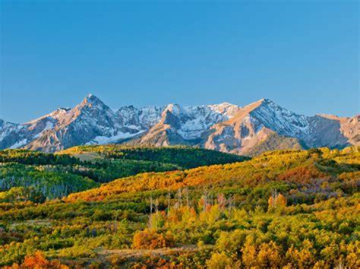 Colorado's Andrea Giuffre Missing 2023 Renewal Has He Been Found Yet