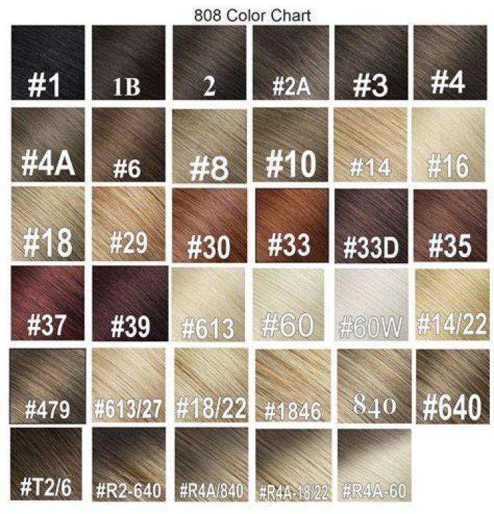 Details 146+ hair color chart wheel super hot camera.edu.vn