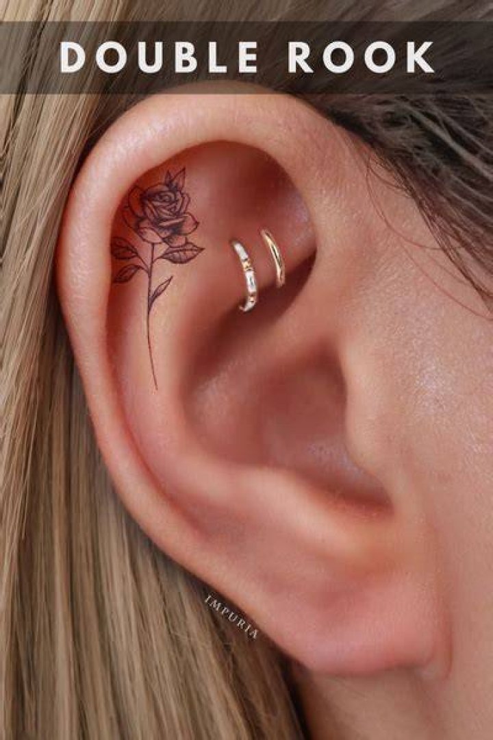 Double Rook Piercing Double rook piercing, Rook piercing, Ear