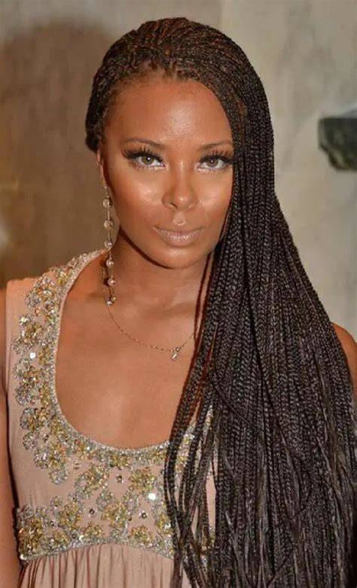 Eva Marcelle Micro Braids Hairstyles, Braided Hairstyles For Black