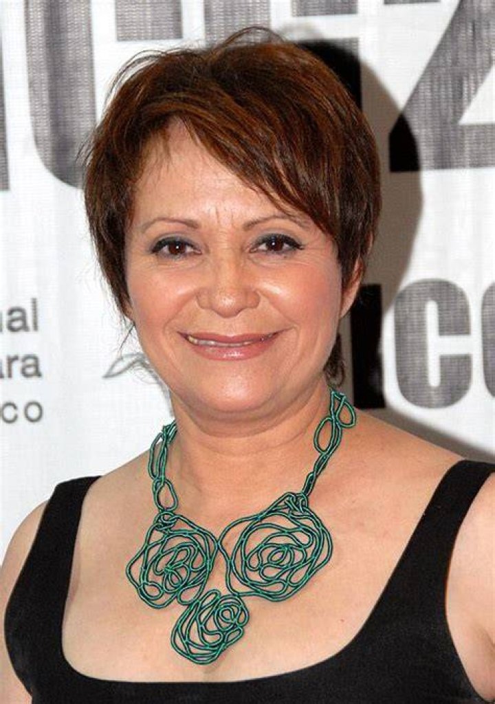 FileAdriana Barraza adj.jpg Wikimedia Commons