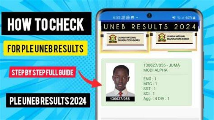 How to check PLE results 2019 results on phone, PML Daily