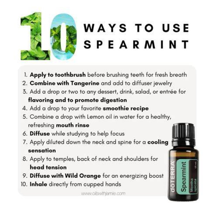 How to Use Spearmint Essential Oil for PCOS Superfood Sanctuary