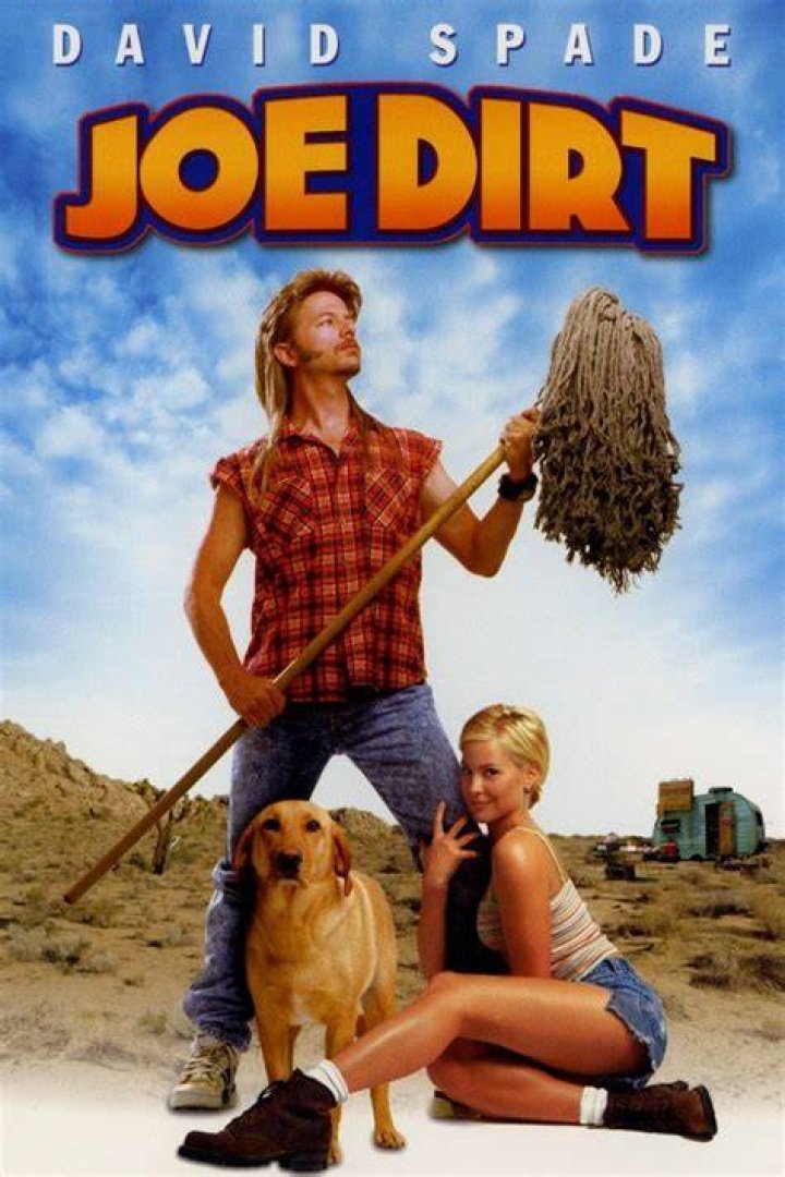 Joe Dirt Rotten Tomatoes