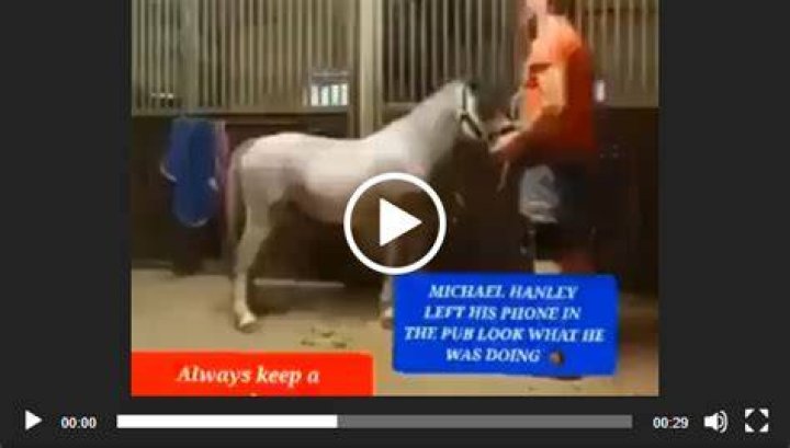 Michael Hanley Horse Video Social Media's Shocking Trend Venezia Beach