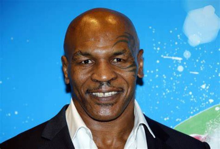 Mike Tyson 50th birthday How boxing's bad boy transformed into