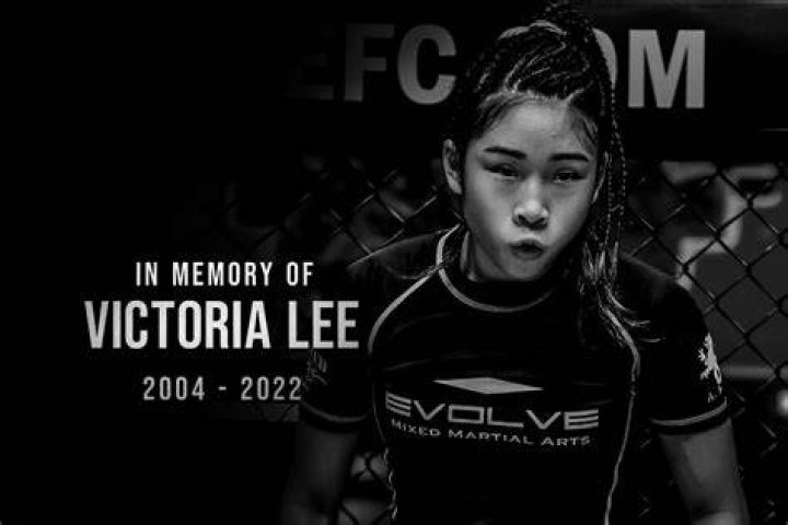 MMA fighter Victoria Lee dies 8 things to know about the Lee siblings