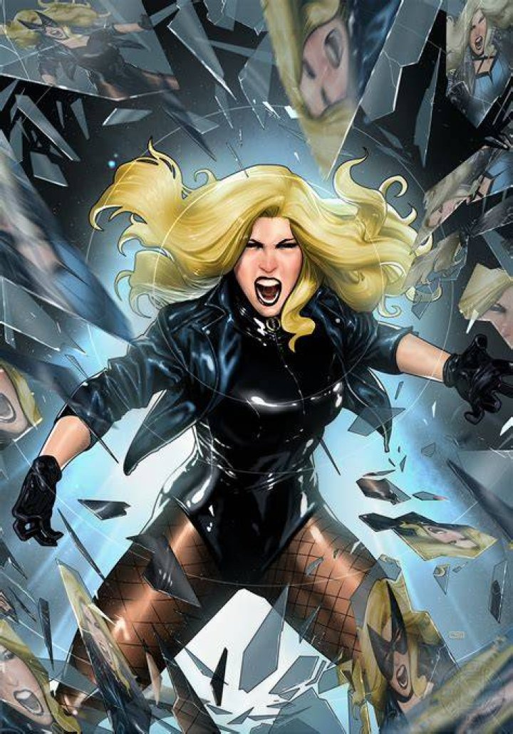 More Black Canary Comic art fans, Alex toth, Black canary