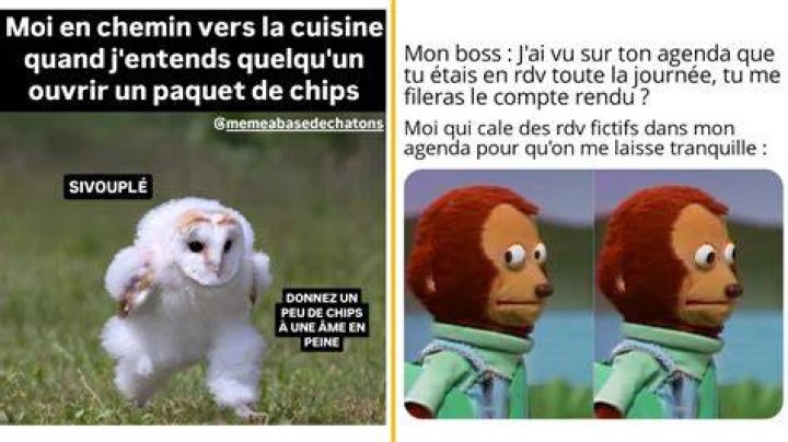 NBA Les meilleurs Memes de la ligue (Part 1)