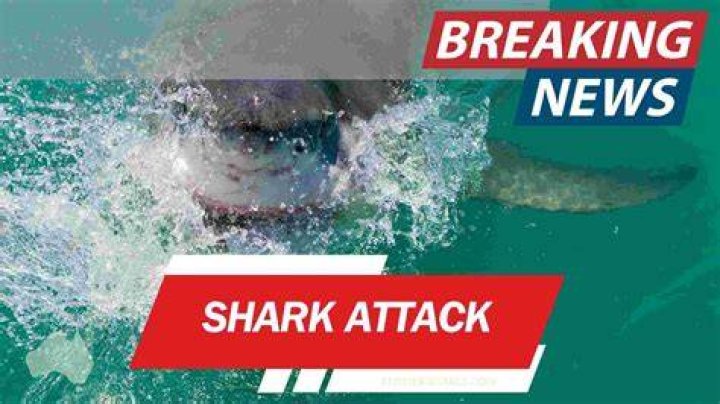 Shark Attack Razblint