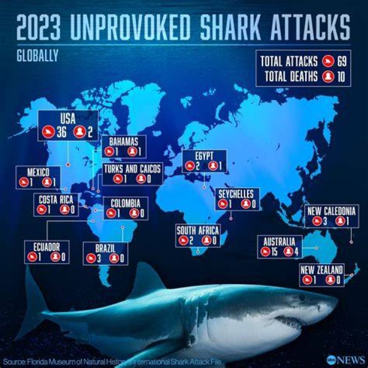 Shark Attack