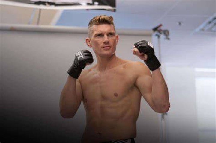 Stephen Thompson Gallery Super Stars Bio