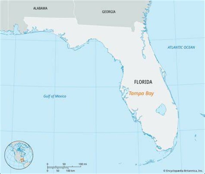 Tampa Bay's Hottest Bars & Drinks for 2024 Tampa Magazine