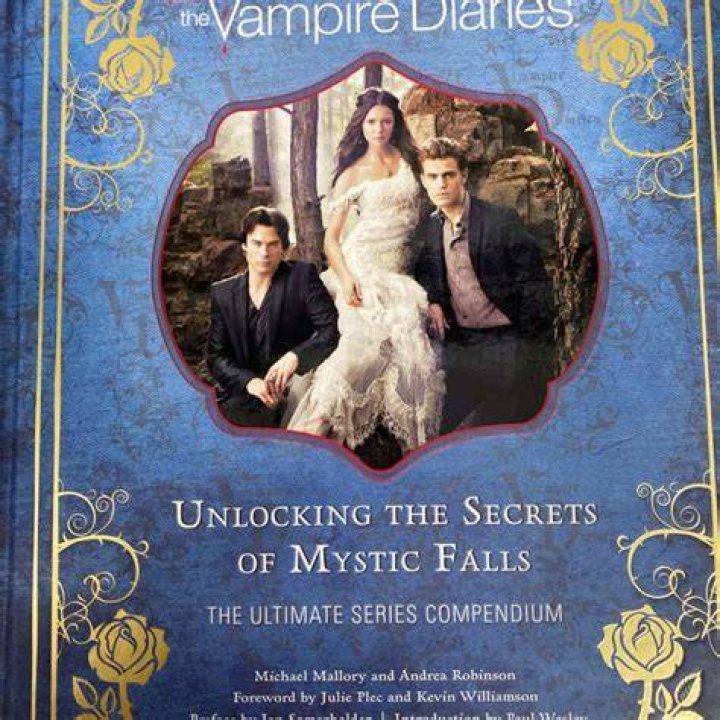 The Vampire Diaries Unlocking the Secrets of Mystic Falls Michael