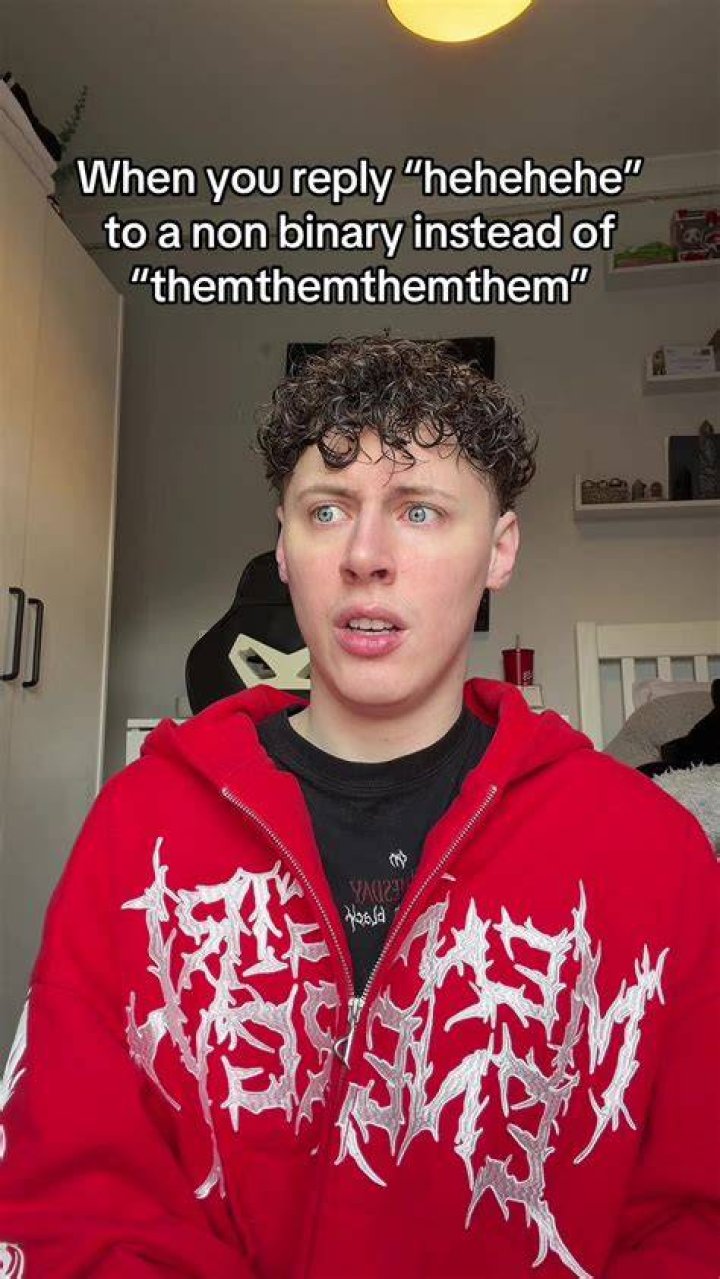 [they/them] lol rachelchaleff TikTok