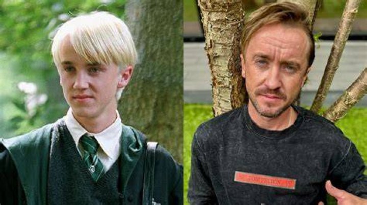 Tom Felton. Woah look at Jade's gown! Tom felton, Felton, Tom felton