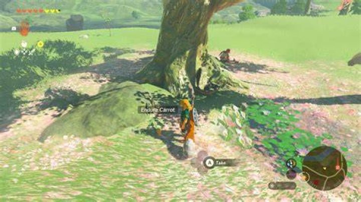 Uncover The Secrets Of Endura Carrot Location: A Journey Of Discovery