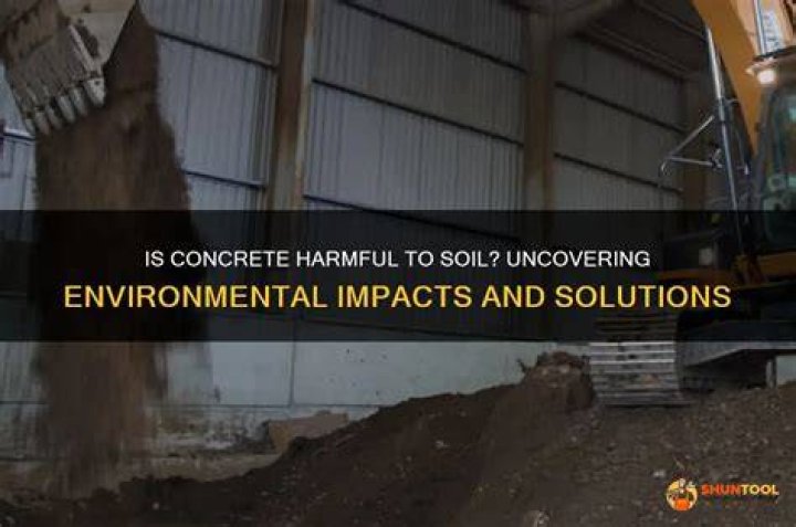 Uncovering The Intriguing Possibilities And Potential Impacts