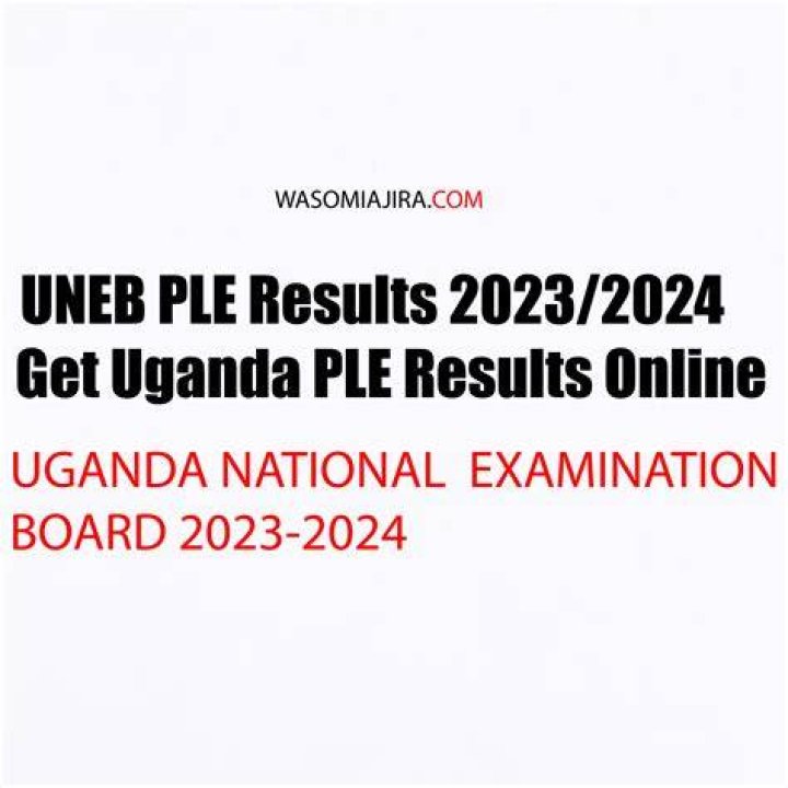 UNEB PLE Results 2024 Uganda National Examinations Board 2024 IBPS Club