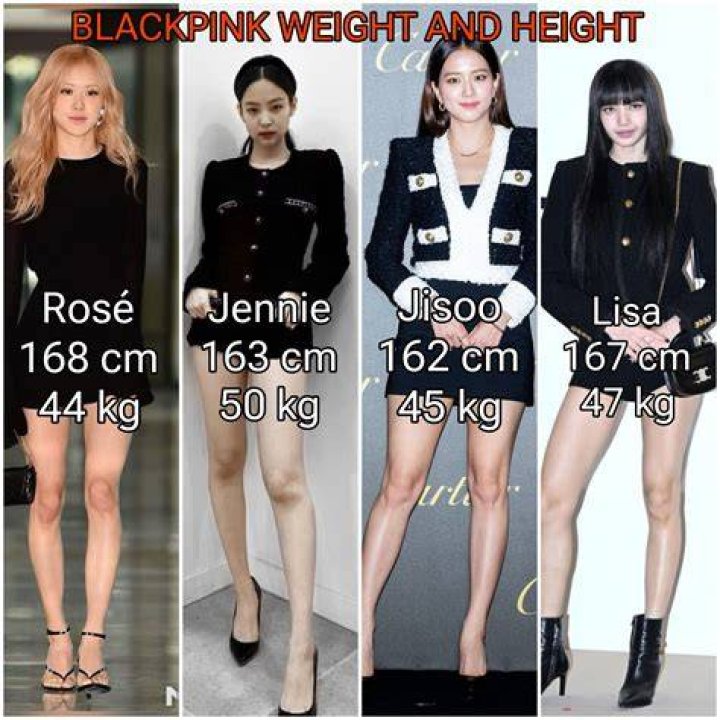 Unveiling Lisa BLACKPINK's Height: Discoveries And Insights