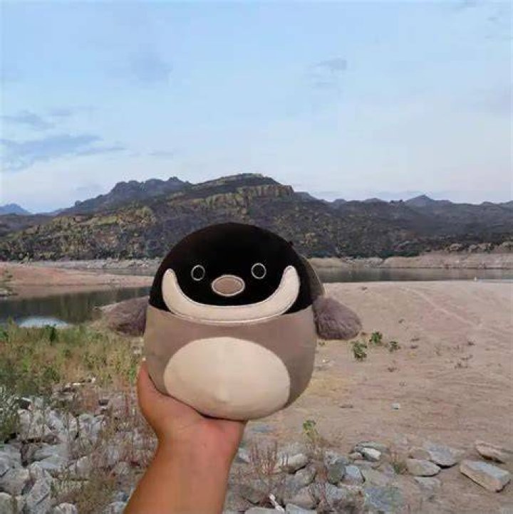 Unveiling The Rarest Squishmallow: Discoveries And Insights