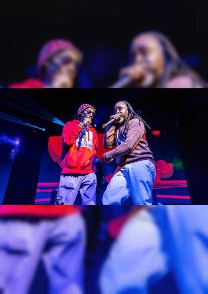 Ying Yang Twins ME & MY BROTHER CD